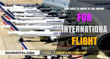 Arriving Early at CDG: International Flight Timing Tips