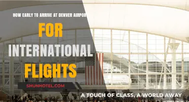 Denver Airport International Flights: Optimal Arrival Time Tips for Travelers