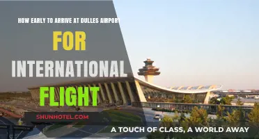 Arriving Early at Dulles: Tips for Stress-Free International Travel