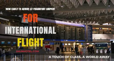 Frankfurt Airport International Flights: Optimal Arrival Time Guide
