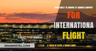 Haneda Airport International Flights: Optimal Arrival Time Guide