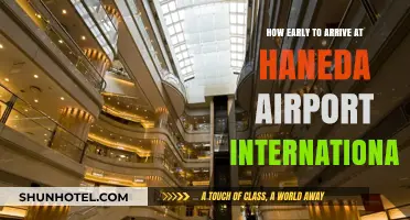 Arriving at Haneda Airport: Optimal Timing for International Flights