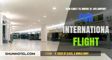 Arriving Early at JFK: International Flight Timing Tips