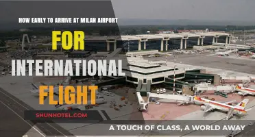 Arriving Early at Milan Airport: Tips for International Flights
