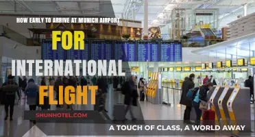 Arriving Early at Munich Airport: International Flight Timing Tips
