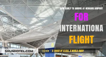 Arriving Early at Newark Airport: International Flight Timing Tips