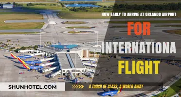 Orlando Airport International Flights: Optimal Arrival Time Guide