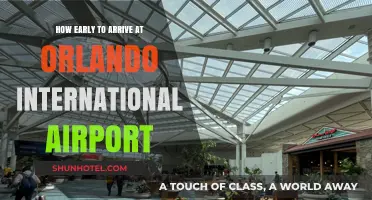 Orlando Airport Arrival Guide: Timing Your Trip for Stress-Free Travel