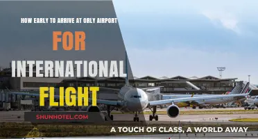 Arriving at Orly Airport: Timing Tips for Stress-Free International Flights