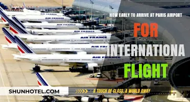 Arriving Early at Paris Airport: Tips for International Flights