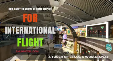 Arriving at Rome Airport: Optimal Timing for Stress-Free International Flights