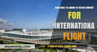 Seatac Airport International Flights: Optimal Arrival Time Guide
