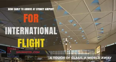Sydney Airport International Flights: Optimal Arrival Time Guide