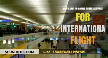 Arriving at Geneva Airport: Timing Tips for Stress-Free International Travel