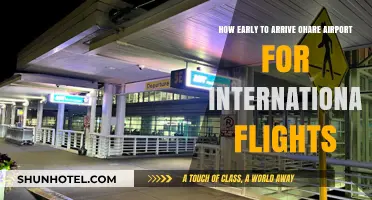 Arriving Early at O'Hare: International Flight Timing Tips