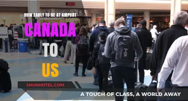 Arriving Early: Canada-US Airport Navigation
