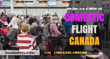 Arriving Early: Domestic Flight Airport Entry in Canada
