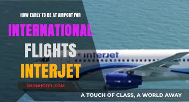 Interjet International Flights: Optimal Airport Arrival Time Guide