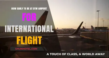 DTW International Flight Prep: Optimal Arrival Time Tips