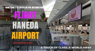 Haneda Airport International Flight Check-In: Timing Tips for Travelers