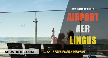 Aer Lingus Airport Arrival Guide: Timing Your Journey Perfectly