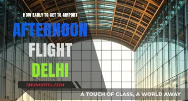 Afternoon Flight from Delhi: Optimal Airport Arrival Time Tips