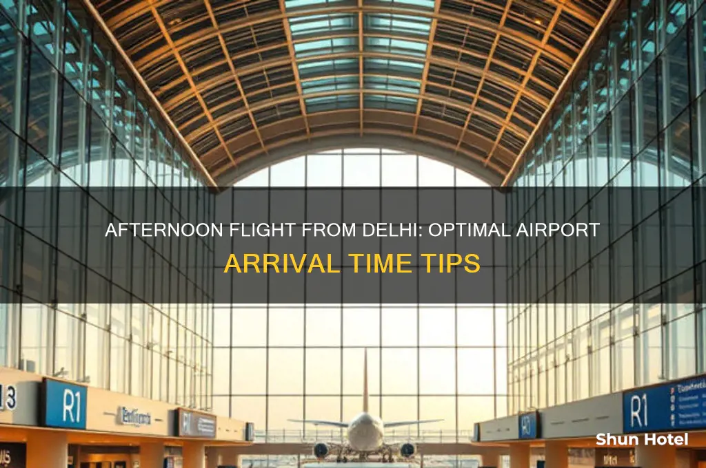 how early to get to airport afternoon flight delhi