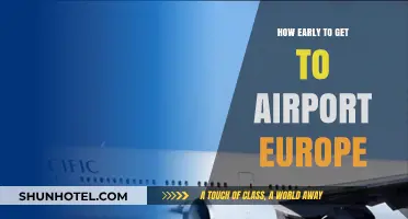 Arriving Stress-Free: Optimal Timing for European Airport Arrivals