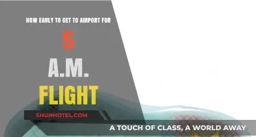 Catching a 5 A.M. Flight: Optimal Airport Arrival Time Tips