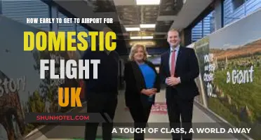 UK Domestic Flights: Optimal Arrival Time for Stress-Free Travel