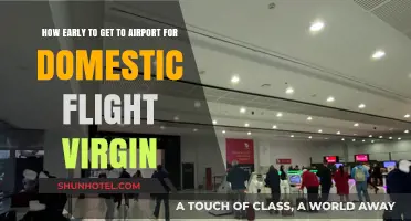 Virgin Domestic Flights: Optimal Airport Arrival Time Tips for Travelers