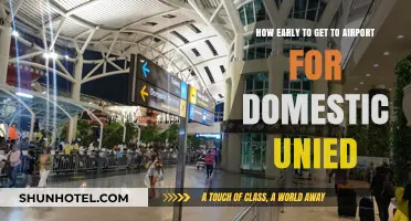 Domestic United Flights: Optimal Airport Arrival Time Guide