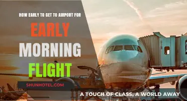 Early Morning Flights: How Soon Should You Arrive at the Airport?