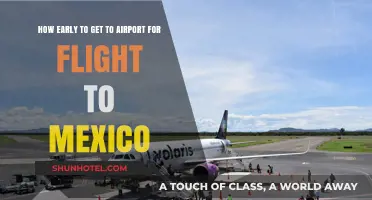 Early Airport Arrival Tips for Stress-Free Flights to Mexico