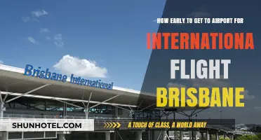 Brisbane International Flights: Optimal Airport Arrival Time Guide
