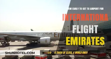 Emirates International Flights: Optimal Airport Arrival Timing Guide