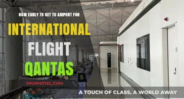 Qantas International Flights: Optimal Airport Arrival Time Guide