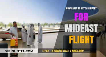 Mideast Flight Prep: Optimal Airport Arrival Time Tips
