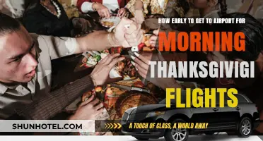 Beat Thanksgiving Morning Flight Stress: Optimal Airport Arrival Tips