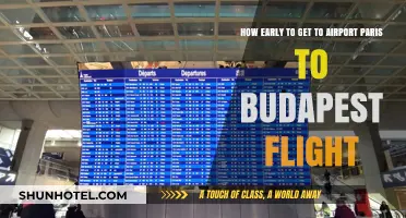 Paris to Budapest Flight: Optimal Airport Arrival Time Guide