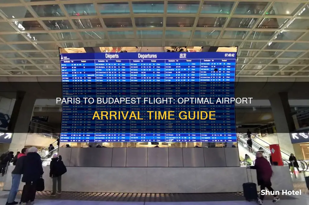 how early to get to airport paris to budapest flight