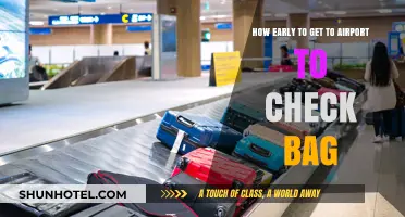 Avoid Airport Stress: Optimal Timing for Checking Your Baggage