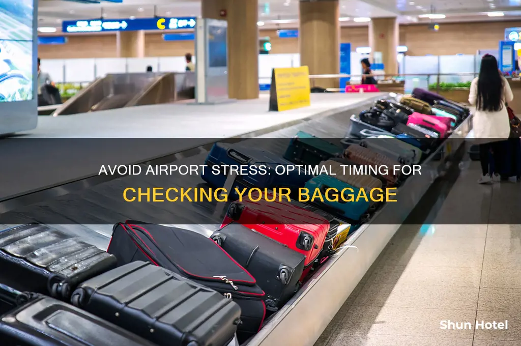 how early to get to airport to check bag