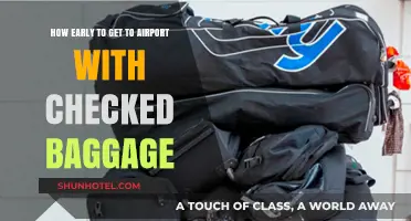 Arriving Early: Optimal Timing for Checked Baggage at the Airport