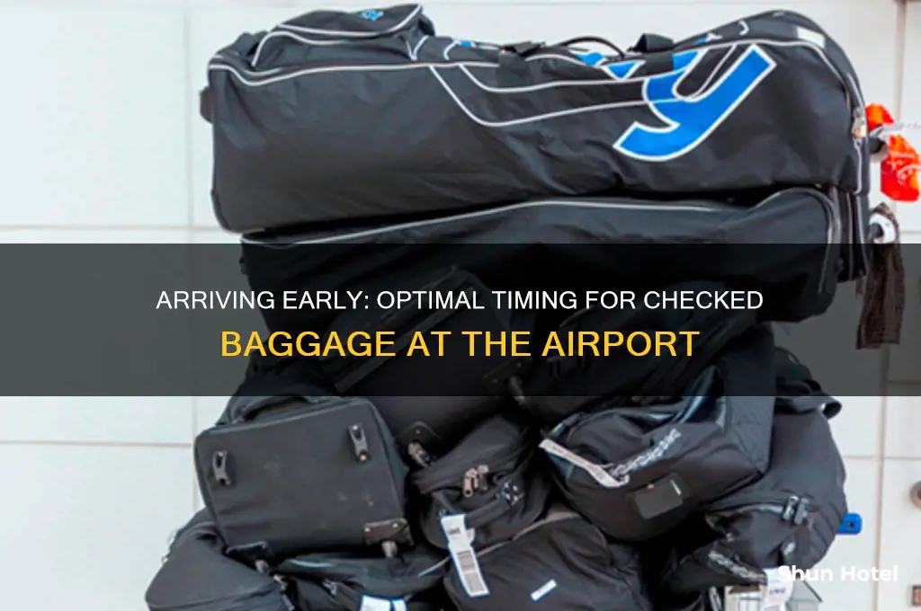 how early to get to airport with checked baggage