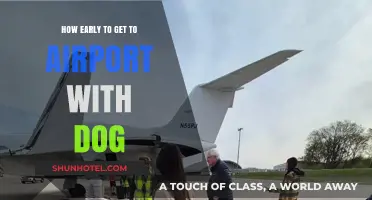 Traveling with Your Dog: Optimal Airport Arrival Time Tips