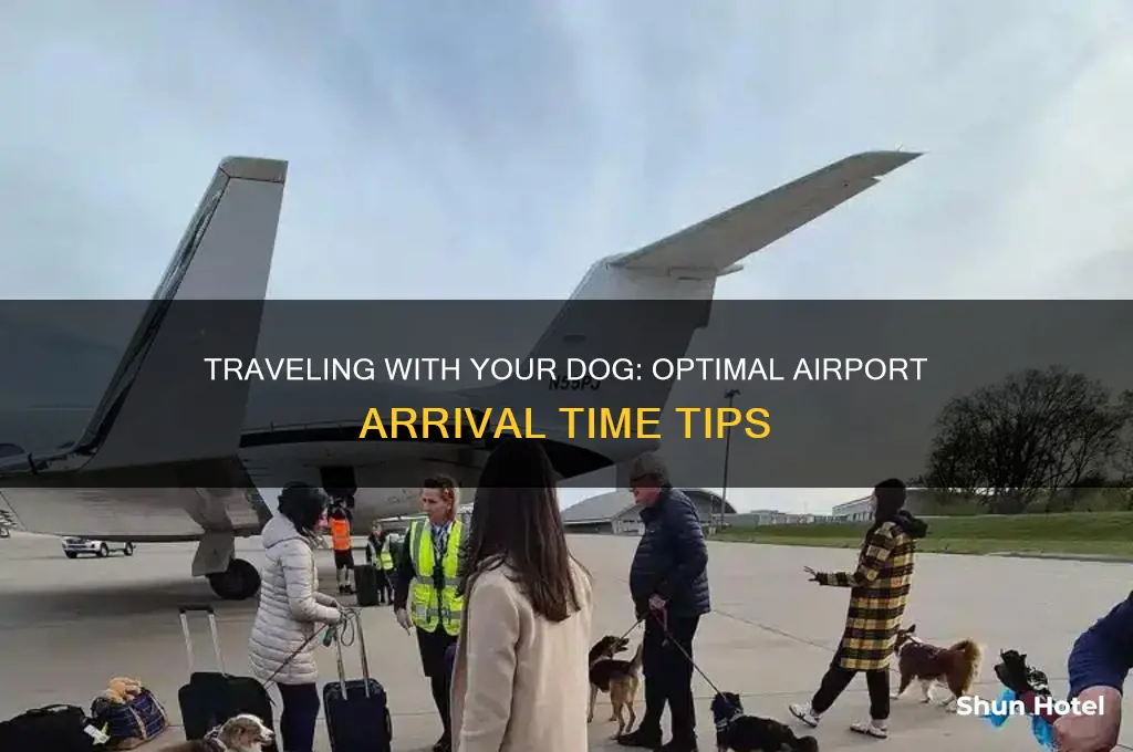 how early to get to airport with dog