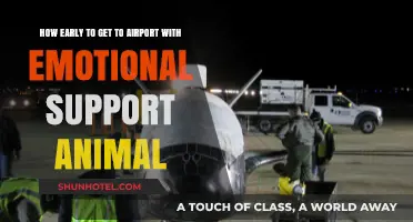 Traveling with Your ESA: Timing Your Airport Arrival Stress-Free