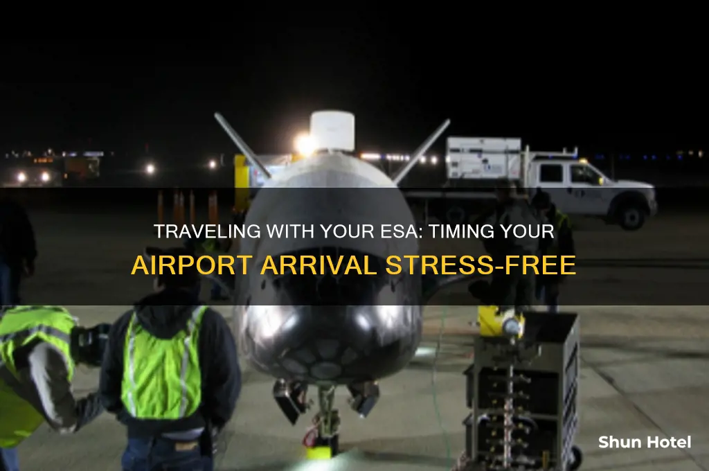 how early to get to airport with emotional support animal