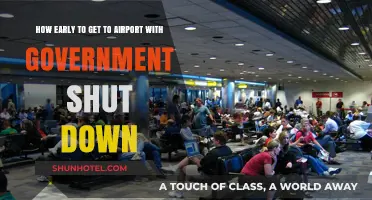 Navigating Airport Delays: Tips for Travelers During Government Shutdowns